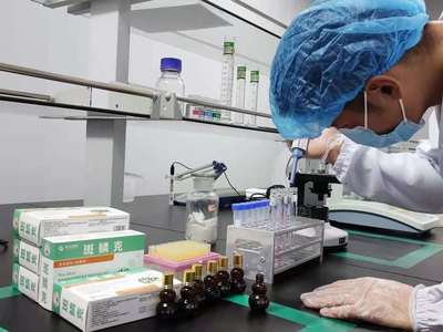 金元四醫(yī)生物科技與昊祥藥業(yè)嚴抓產(chǎn)品質(zhì)量關(guān)，推動生物科技研究開發(fā)