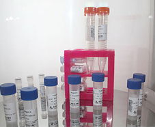 引進(jìn)美國(guó)生物工程前沿技術(shù)，打造高科技生物制品研發(fā)新生態(tài)