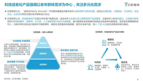 2021中國(guó)科技適老化產(chǎn)品研究報(bào)告 機(jī)遇、挑戰(zhàn)與路徑探索